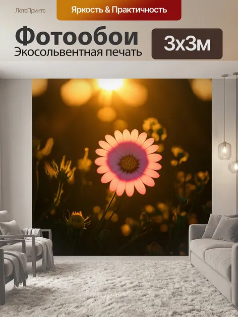 Фотообои цветок, освещенный мягким светом заката, отбрасывающий длинные тени, с привлекательными цветами и тонкой…