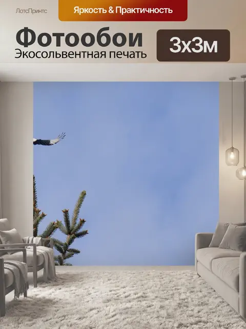 Фотообои Сорока
