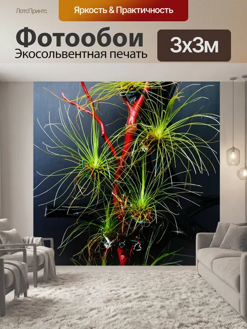 Фотообои Tillandsia fuchsii