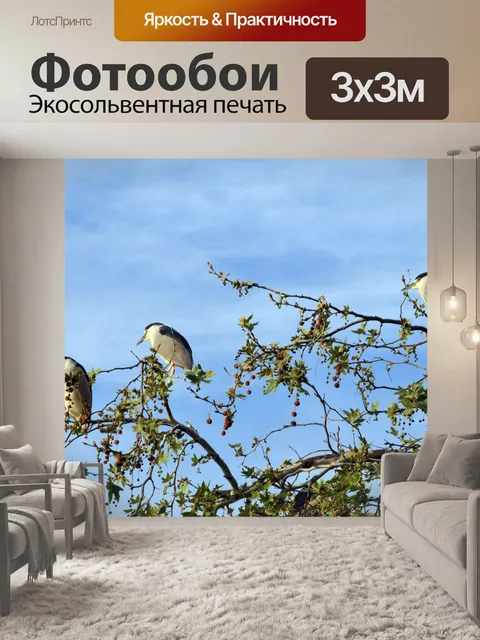 Фотообои Три Ночные Цапли в дереве