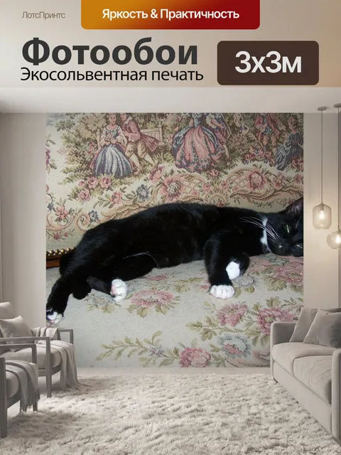 Фотообои Кот