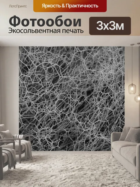 Фотообои Черно-белые шестигранные сорняки