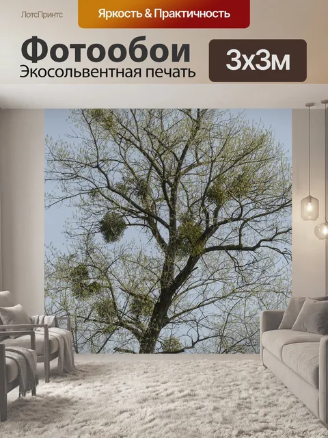 Фотообои Дерево