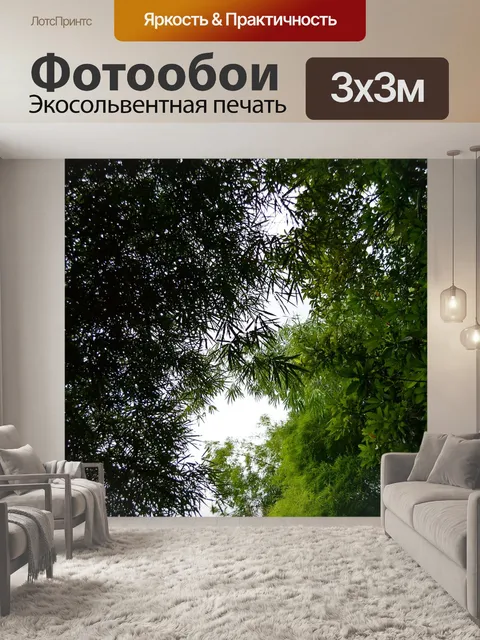 Фотообои Бамбук