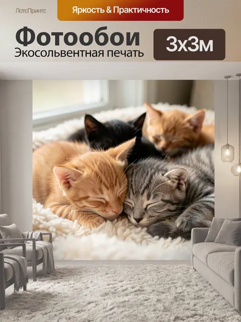 Фотообои Спящие котята на мягком пледе
