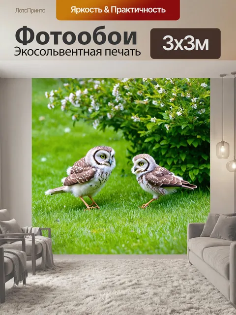 Фотообои совенок, играющий с другим совенком в парке, они гоняются друг за другом среди зеленой травы и цветущих…