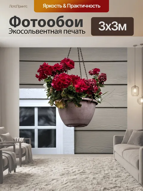 Фотообои Красные цветы висят горшок