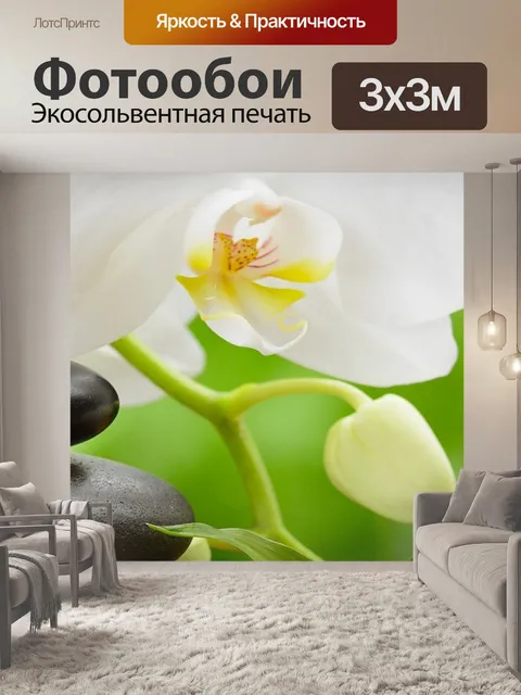 Фотообои Орхидея