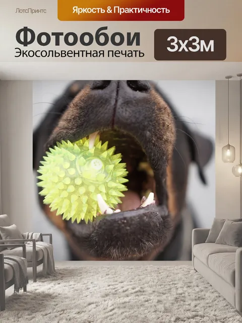 Фотообои Собака