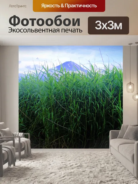 Фотообои Гора Фудзи