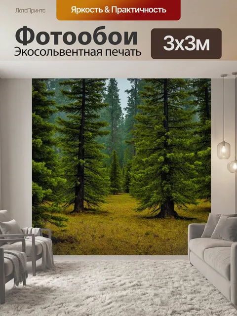 Фотообои ветра шепчут между соснами, расслабляющая обстановка
