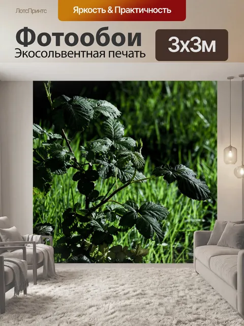 Фотообои Зеленый фон с листьями