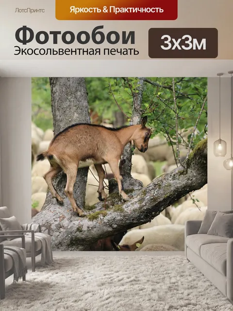 Фотообои Козел