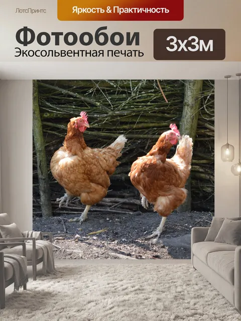 Фотообои Куриный танец