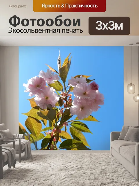 Фотообои Цветок