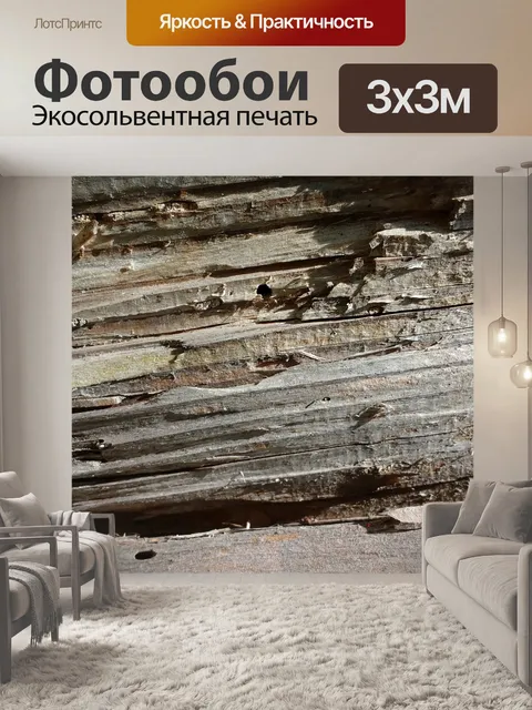 Фотообои Старый лес