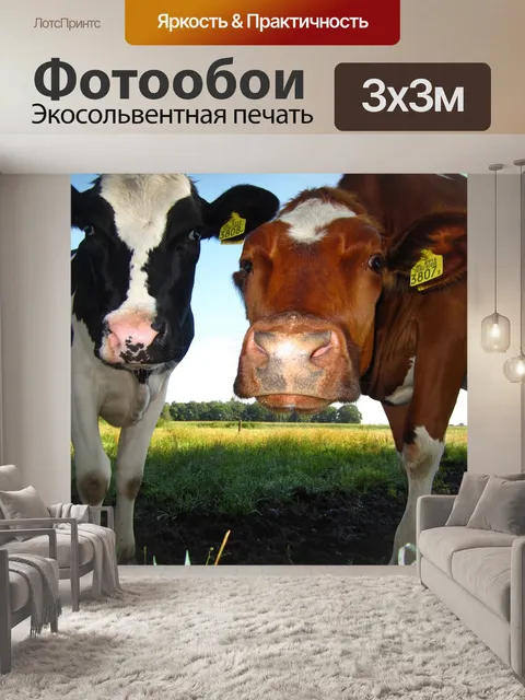 Фотообои Ферма
