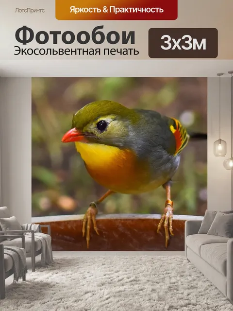 Фотообои Китайский соловей
