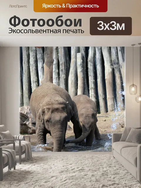 Фотообои В ванне со слонами 2,11