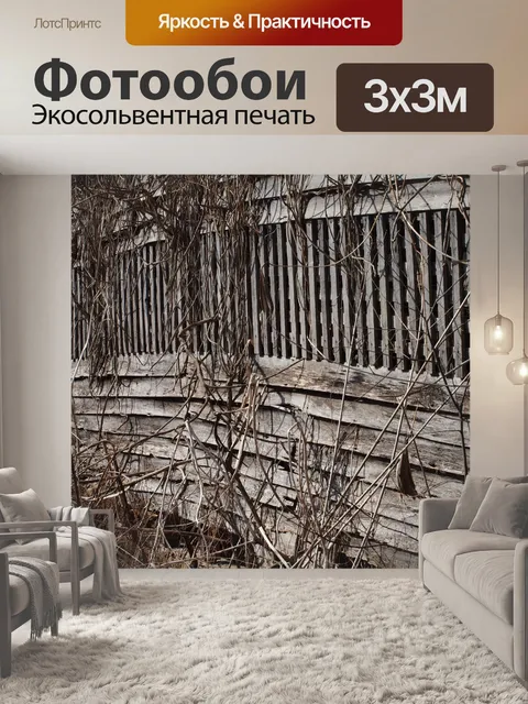 Фотообои Сарай