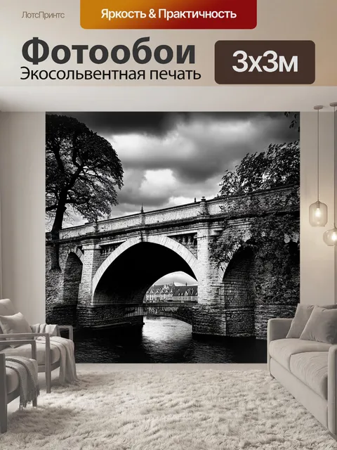 Фотообои старинный мост в петербурге, изящно окруженный вековыми деревьями, запечатлен в черно-белой фотографии
