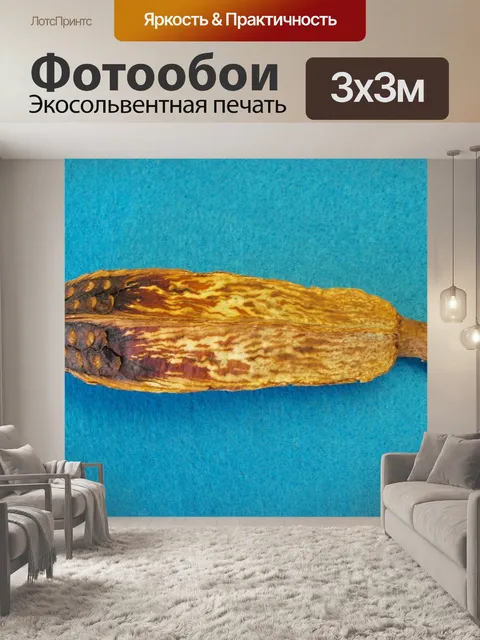 Фотообои Ядро из красного дерева