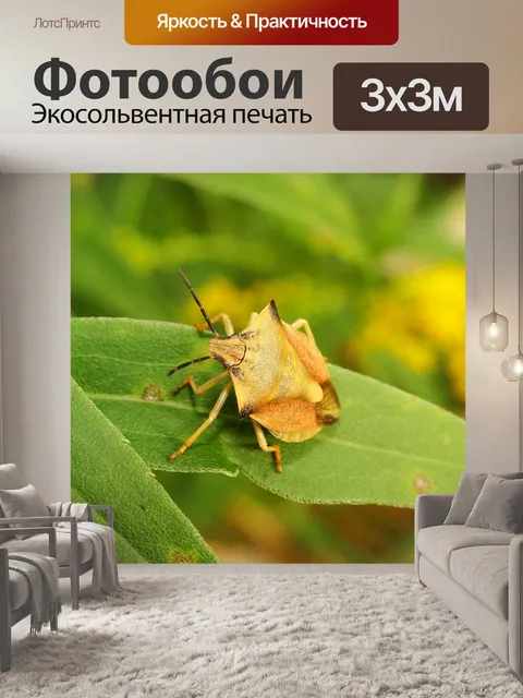 Фотообои Borczyniec фруктовый