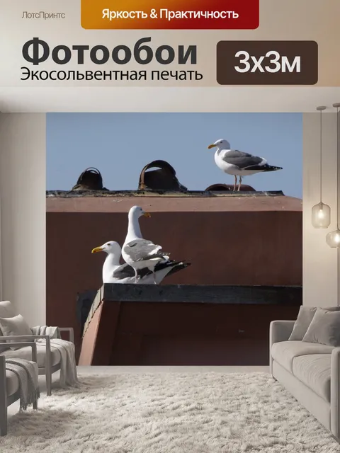 Фотообои Три сидящих чайки