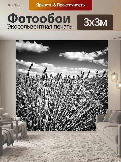 Фотообои черно-белый с изображением цветущего поля лаванды