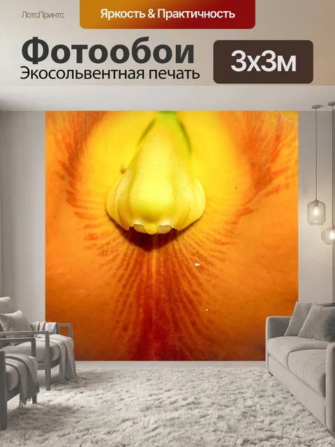 Фотообои Цветок орхидеи