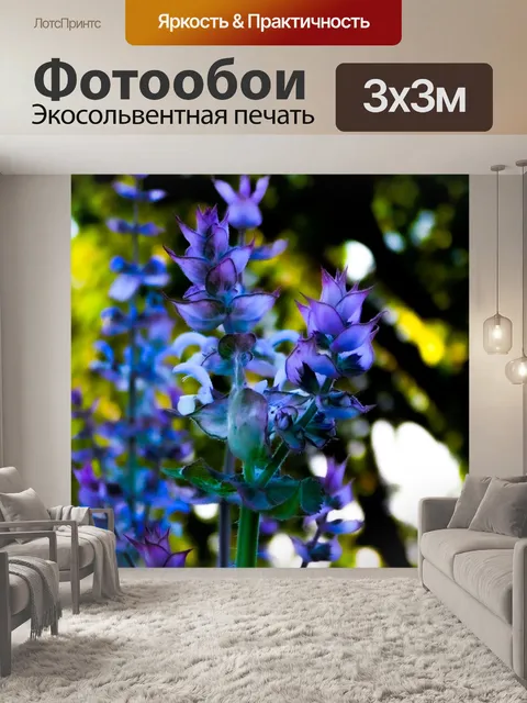 Фотообои Цветы