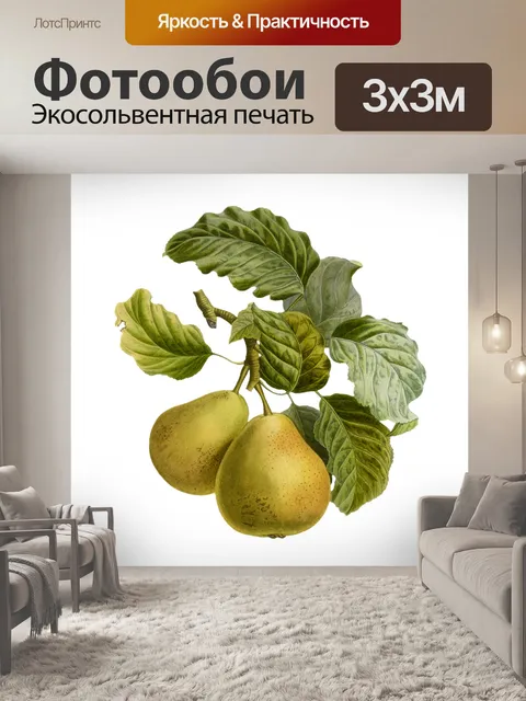 Фотообои Плоды груши винтажные