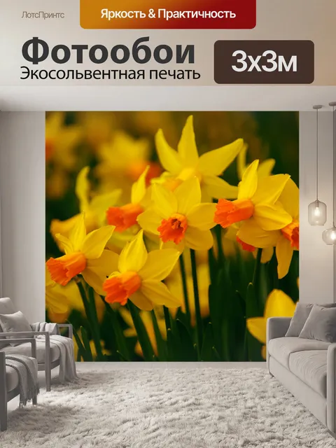 Фотообои цветущих нарциссов