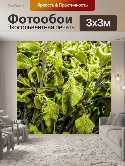 Фотообои Лист