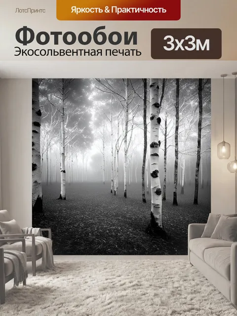 Фотообои черно-белый с окутанным туманом берёзовым лесом, где белые стволы деревьев создают игру теней и света