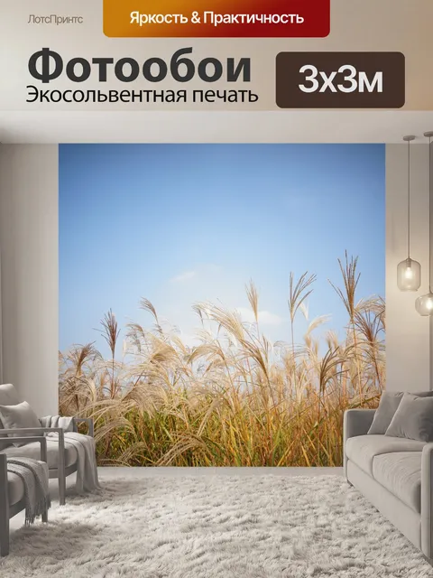 Фотообои Небесный парк