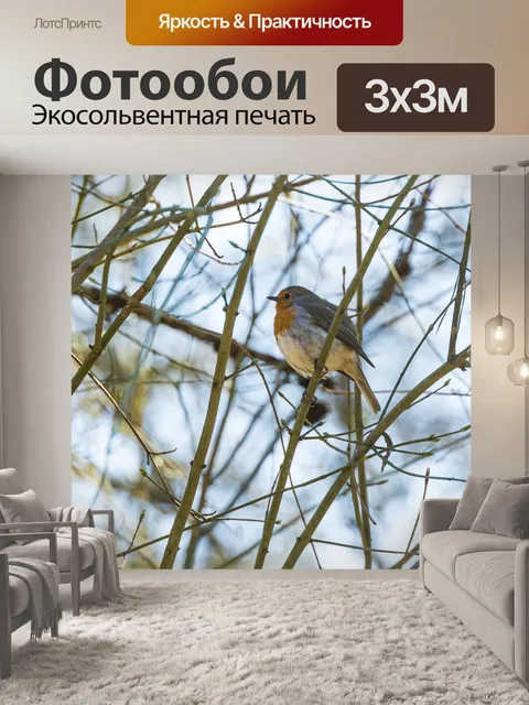 Фотообои Робин