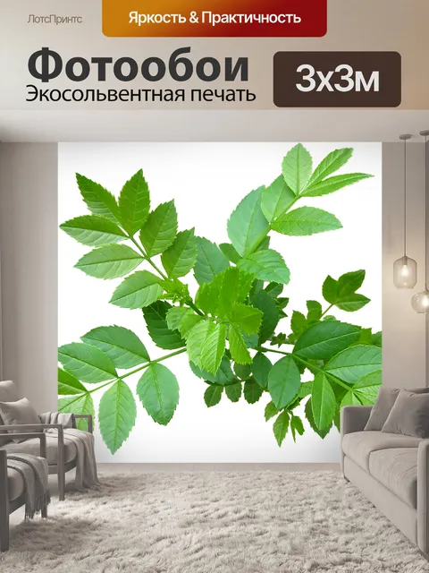 Фотообои Листья