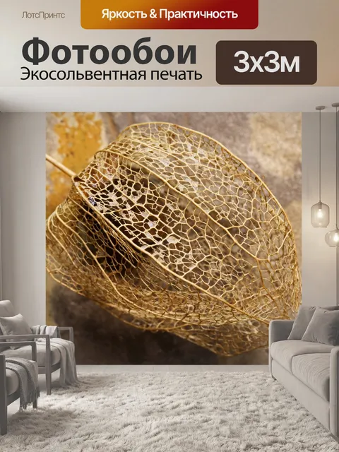 Фотообои капсула с плодами паутинного физалиса