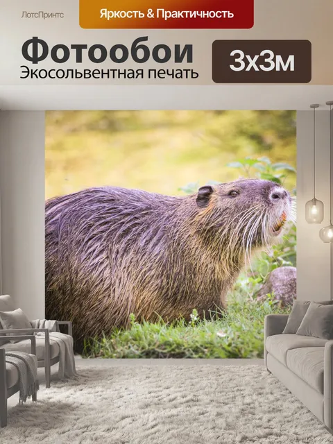 Фотообои Бобр в пейзаже