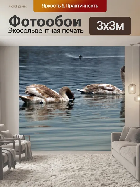 Фотообои Озеро молодых лебедей птиц