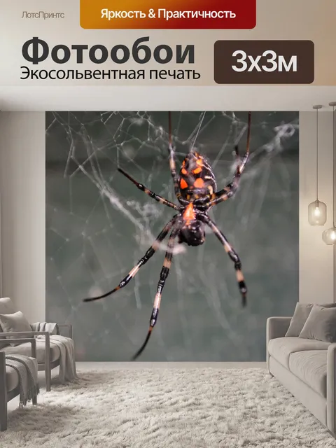 Фотообои Тигр паук