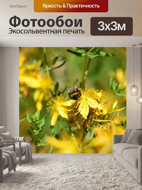 Фотообои Bee