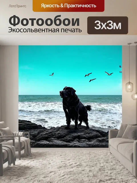 Фотообои ньюфаундленд, стоящий на каменистом пляже, смотрит вдаль на горизонт, где небо встречается с морем в…