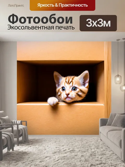 Фотообои котенок, прячущийся в шкафу