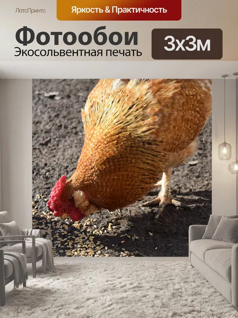 Фотообои Ферма