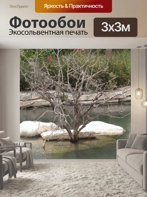 Фотообои Дерево в воде