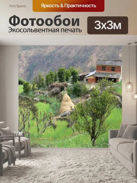 Фотообои Дом