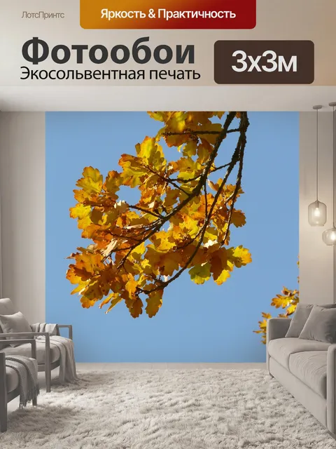 Фотообои Дубовые листья