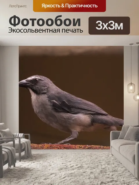 Фотообои Птица